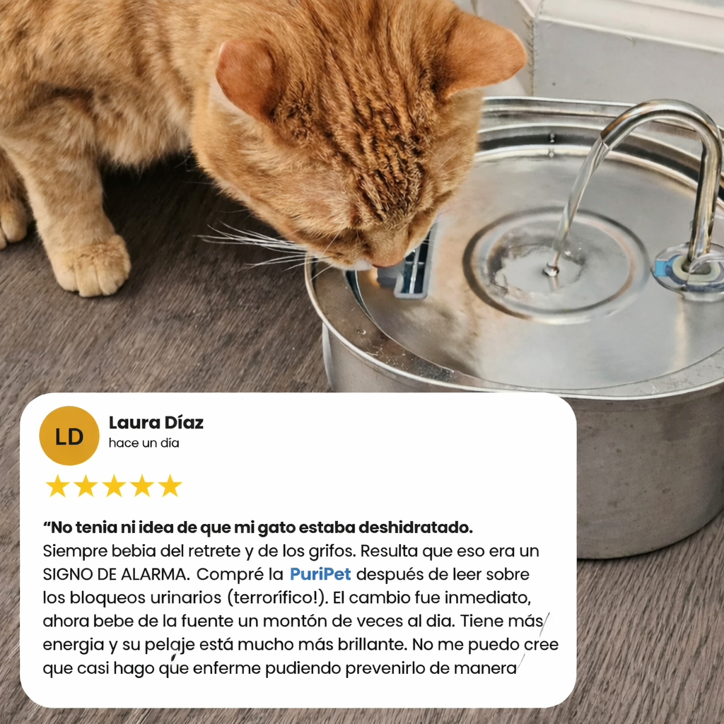 Fuente Acero Inoxidable PuriPet™